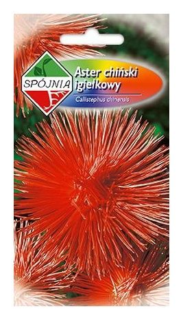 Aster igiełkowy czerwony 1g Spójnia