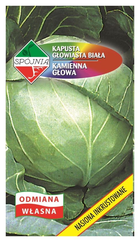 Kapusta Kamienna Głowa 2g Spójnia