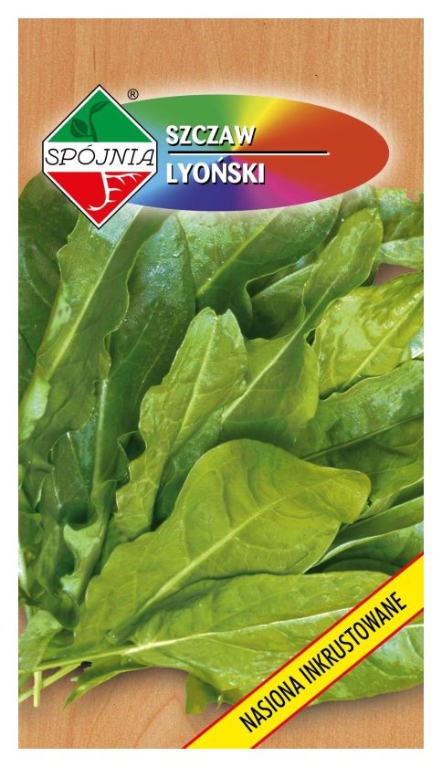 Szczaw Lyoński 2g Spójnia