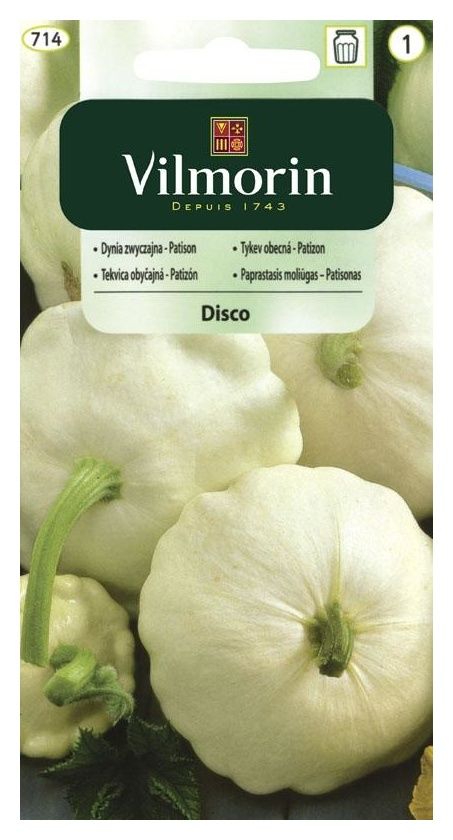 Dynia Patison DISCO 2g Vilmorin