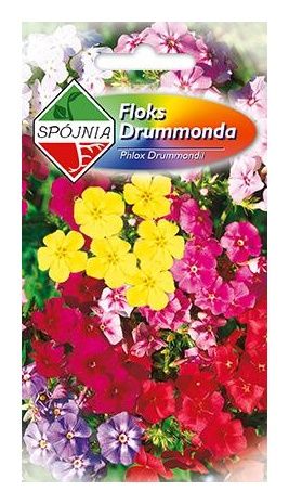 Floks Drumonda 1g Spójnia