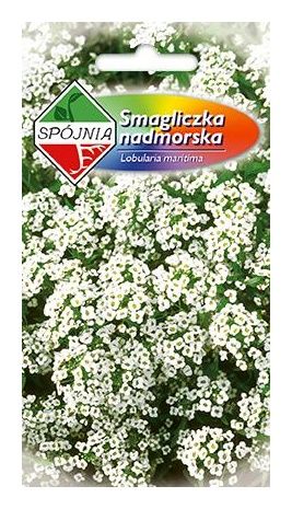 Smagliczka biała 0,5g Spójnia