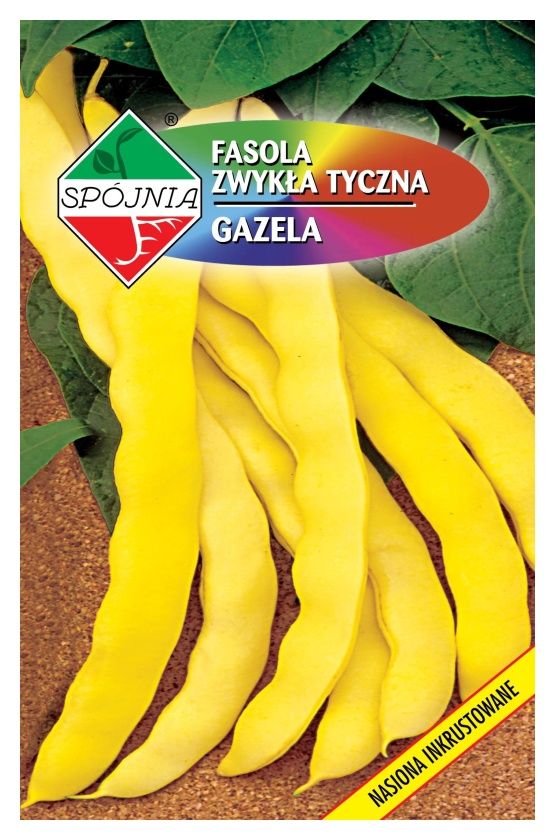 Fasola tyczna Gazela 15g Spójnia