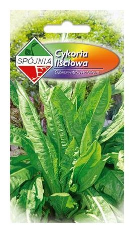 Cykoria Spadona 5g Spójnia