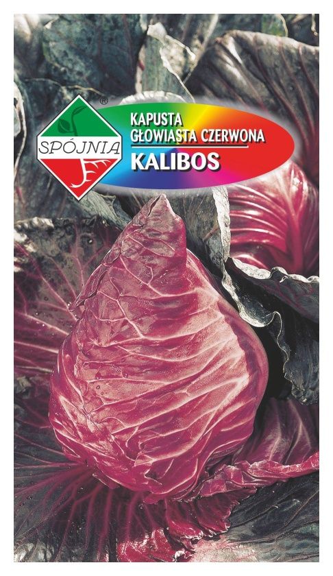 Kapusta czerwona Kalibos 1g Spójnia