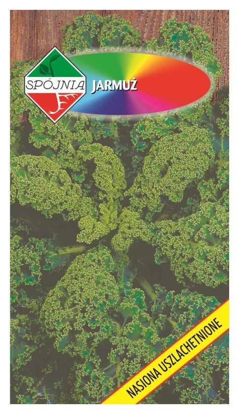 Jarmuż Halbhoher Gruner 3g Spójnia