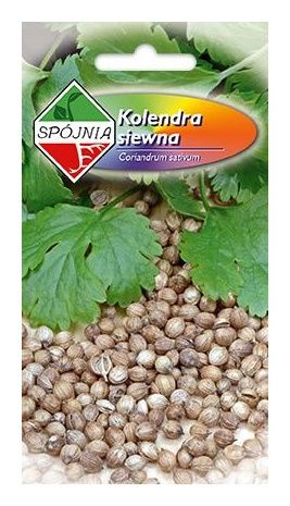 Kolendra siewna 3g Spójnia