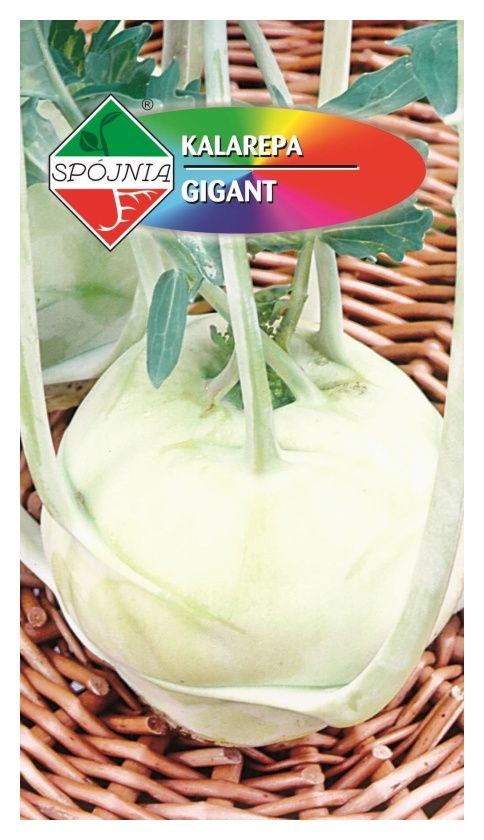 Kalarepa Gigant 1g Spójnia