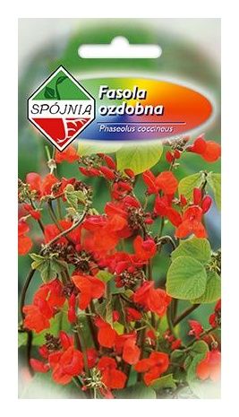 Fasola ozdobna Achievement 10g Spójnia