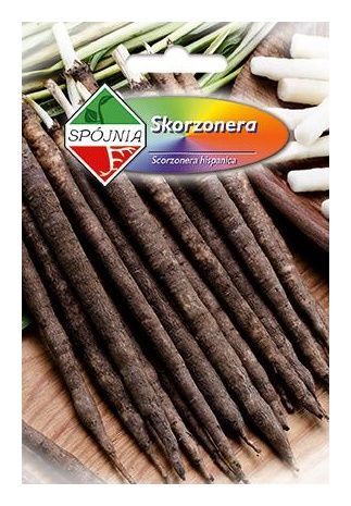 Skorzonera Duplex 3g Spójnia