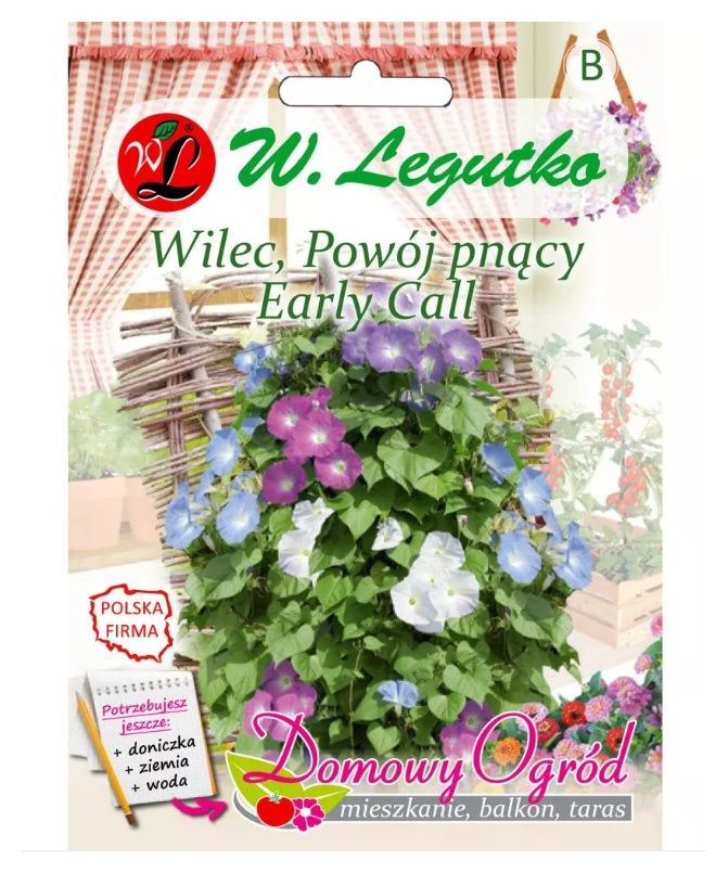 Wilec Powój pnący Early Call 2g Legutko