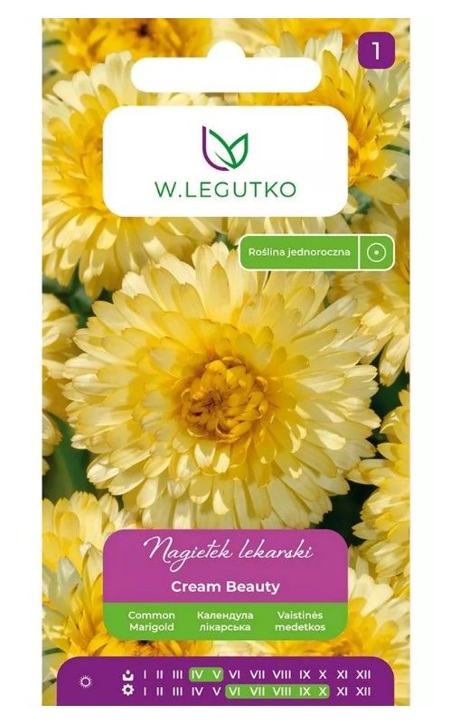 Nagietek lekarski Cream Beauty Kremowa Piękność 2g Legutko