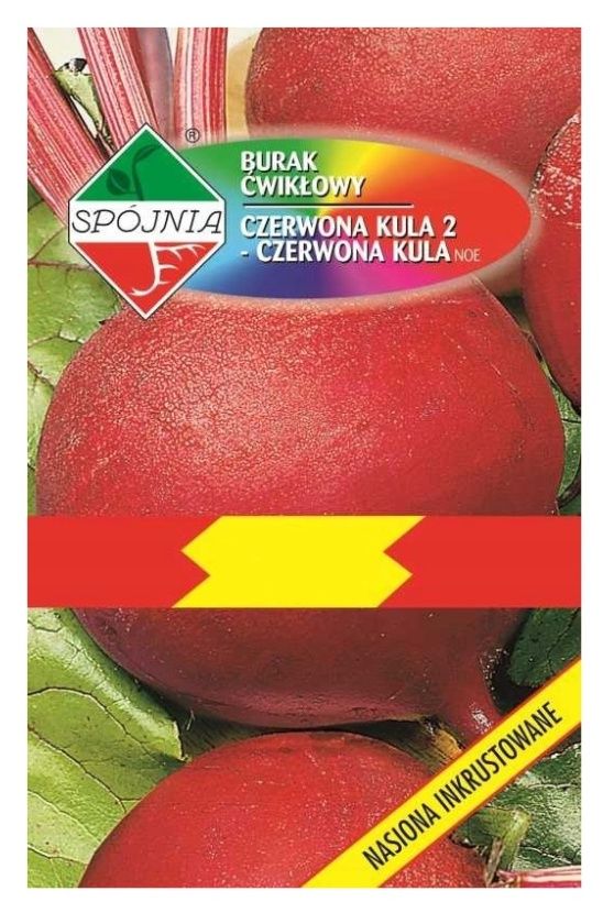 Burak ćwikłowy Czerwona Kula 22g Spójnia