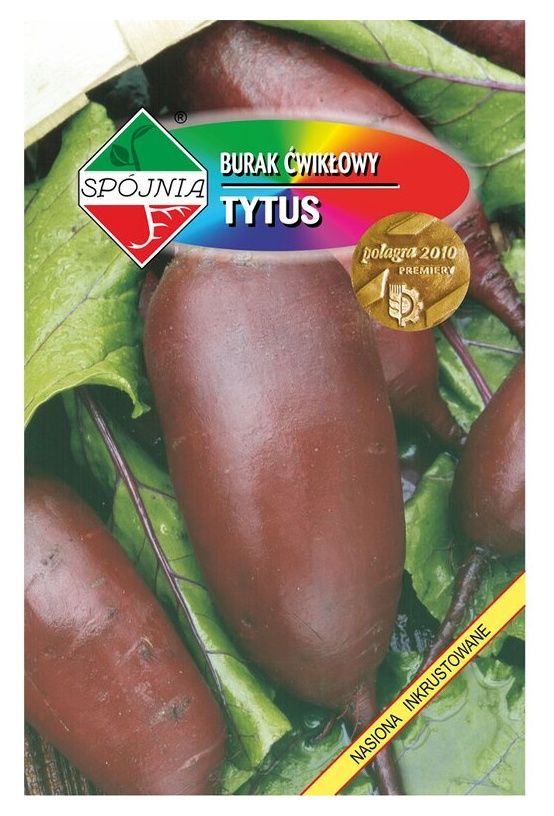 Burak ćwikłowy Tytus 22g Spójnia