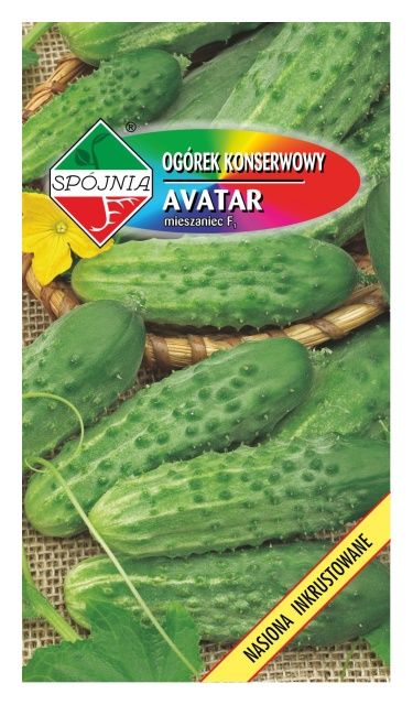 Ogórek konserwowy Avatar 100g Plantico