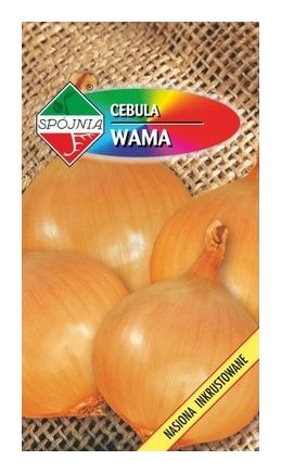 Cebula Wama 5g Spójnia