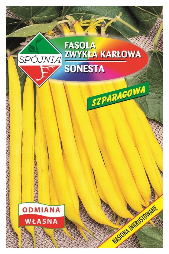 Fasola żółta szparagowa Sonesta 50g Spójnia