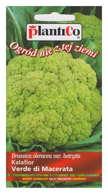 Kalafior Verde Di Macerata 0,2g Plantico
