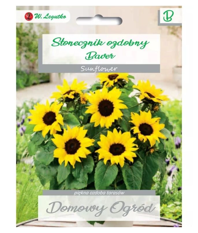 Słonecznik ozdobny karłowy Baver 2g Legutko