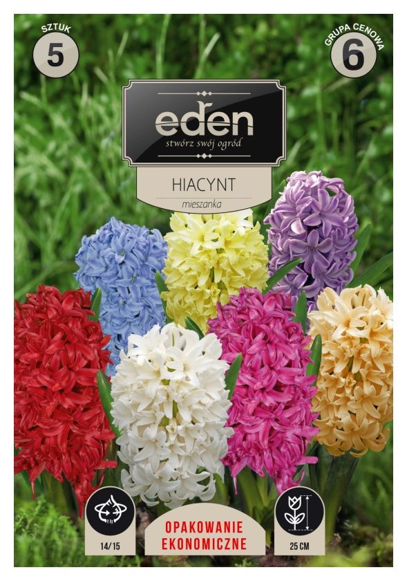 Hiacynt mix kolorów 5 szt Vilmorin
