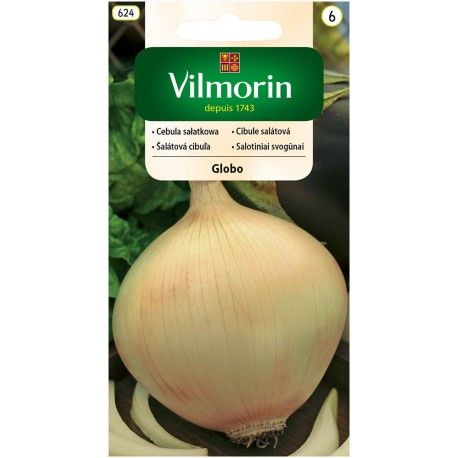 Cebula sałatkowa Globo 1,7g Vilmorin