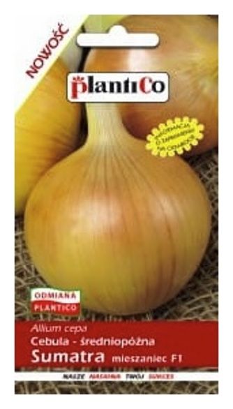 Cebula Sumatra F1 5g Plantico