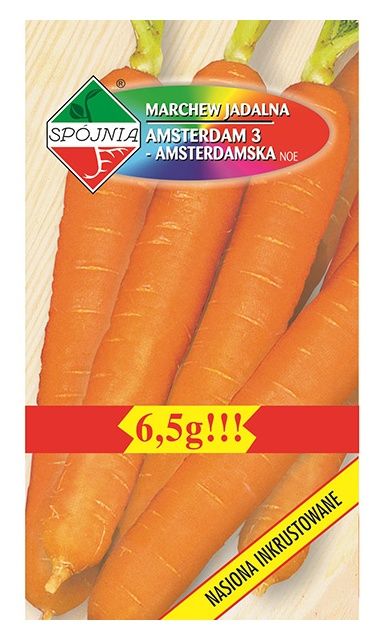 Marchew Amsterdam 3 6,5g Spójnia