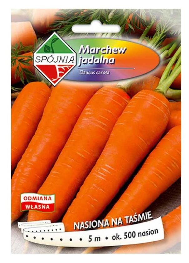 Marchew Finezja Taśma 5m Spójnia
