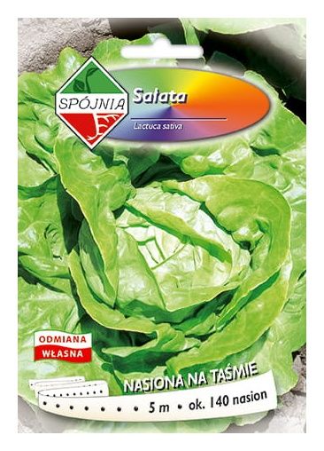 Sałata Milly-Elena Taśma 5m Spójnia