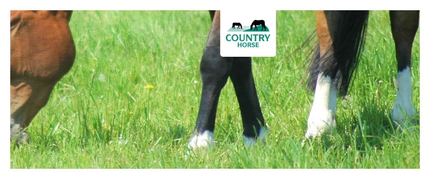 Mieszanka traw Country Horse 2118 C1 10kg DSV