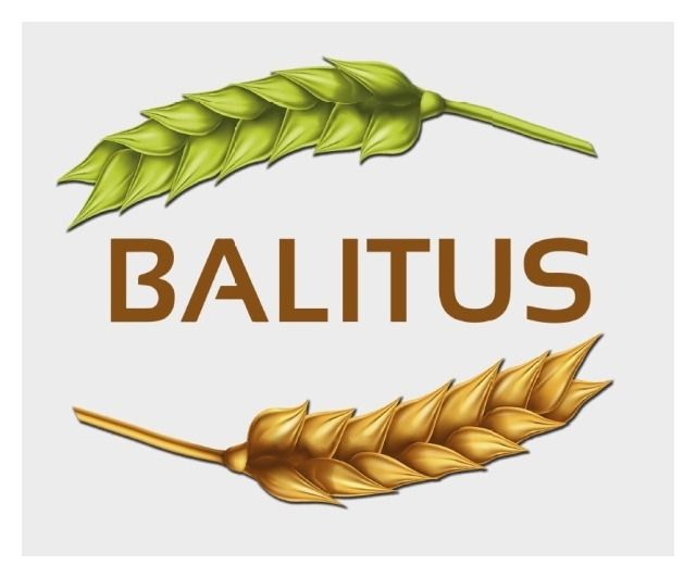 Pszenica zwyczajna ozima Balitus C1 BB 1000 Kg Saatabu