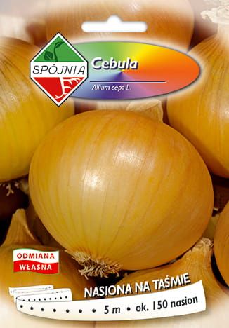 Cebula Wola 5m Taśma Spójnia