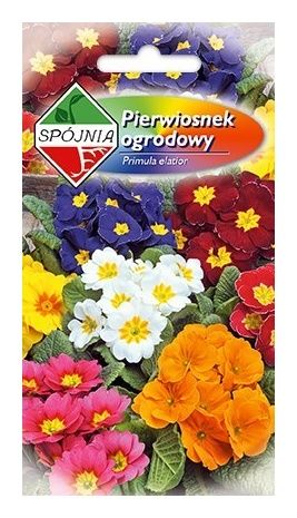 Pierwiosnek wyniosły mix 0,5g Spójnia