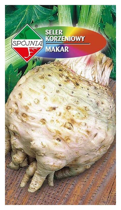 Seler korzeniowy Makar od Spójnia to odmiana średnio-wczesna i bardzo plenna.