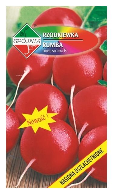 Rzodkiewka Rumba F1 5g Spójnia
