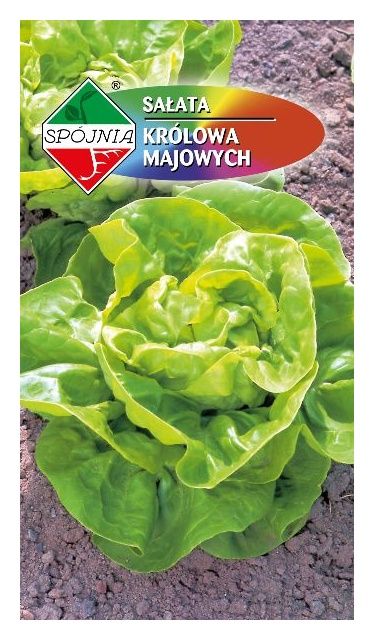 Sałata Królowa Majowych 1g Spójnia