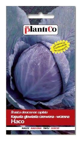 Kapusta Haco 2g Plantico