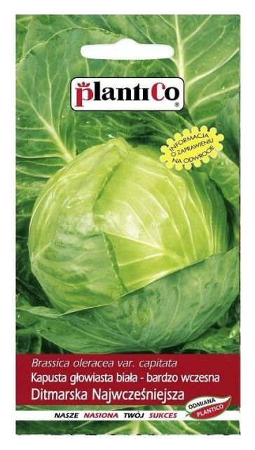 Kapusta Ditmarska 10g Plantico