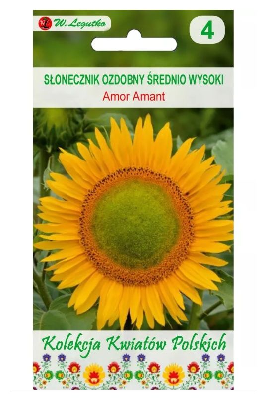 Słonecznik ozdobny Amor Armant 1g Legutko