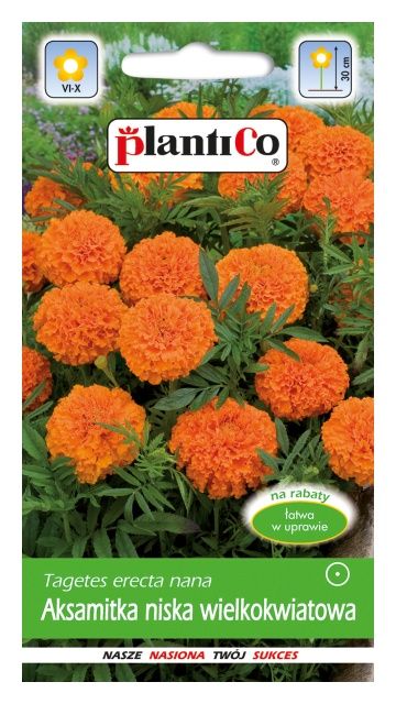 Aksamitka niska wielkokwiatowa MONA pomarańczowa 1g PlantiCo