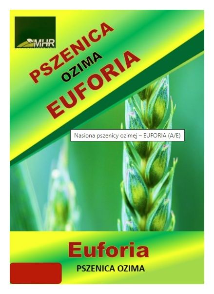 Pszenica zwyczajna ozima Euforia C1 BB 1000Kg MHR