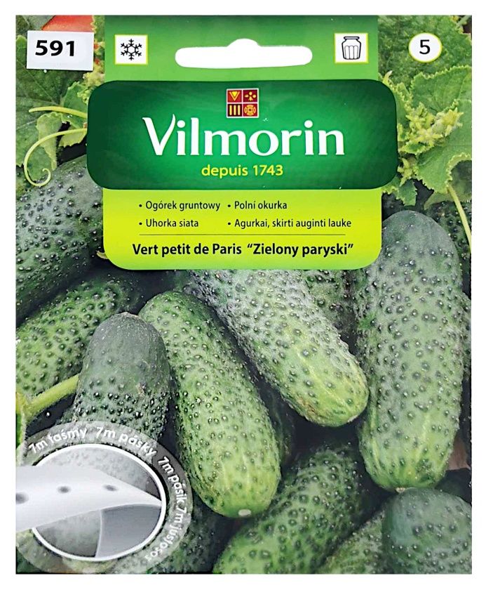 Ogórek gruntowy Vert Petit de Paris 5G Vilmorin