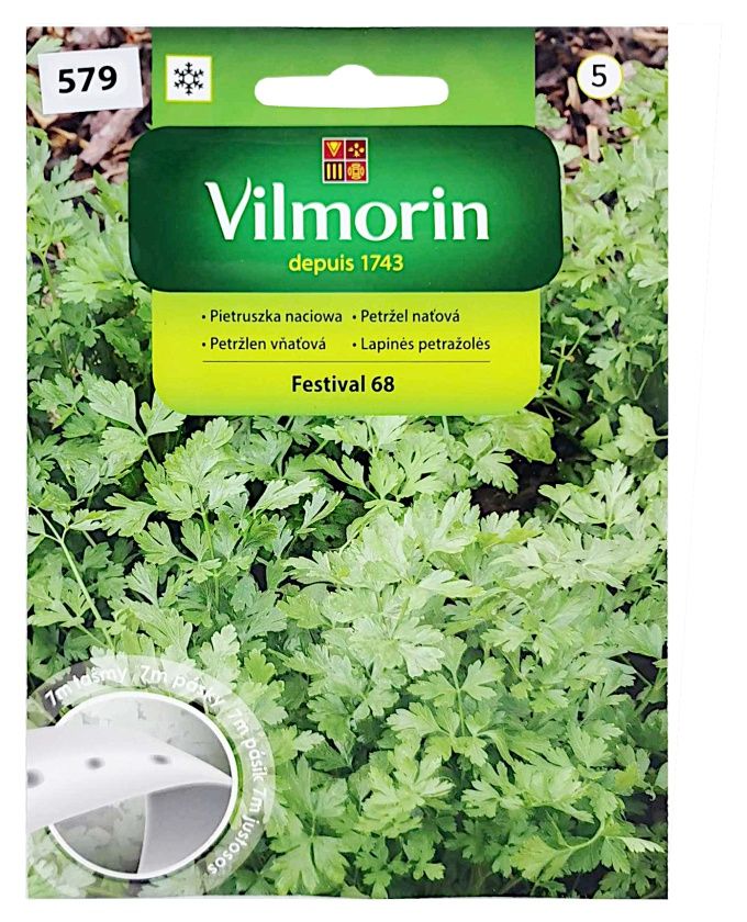 Pietruszka naciowa festival 7m taśma Vilmorin