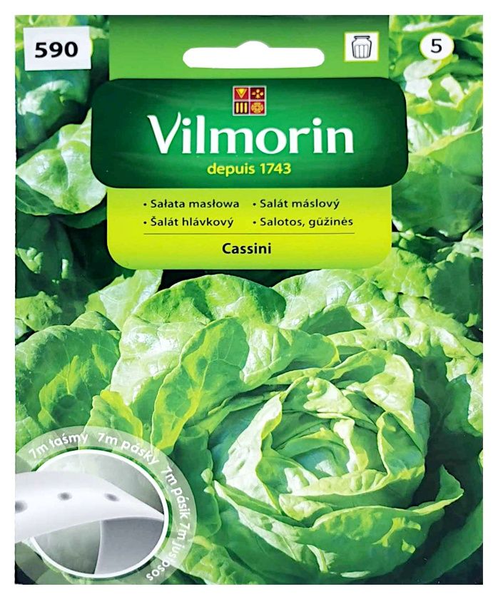 Sałata Cassini 7m taśma Vilmorin