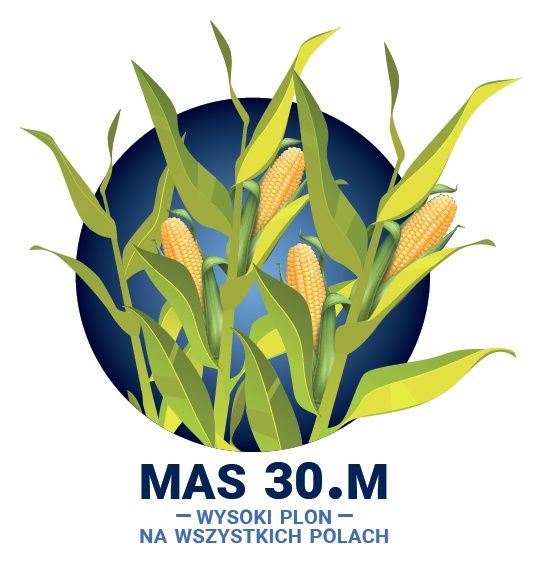 Kukurydza Mas 30.M F1 50tyś C1 Force Maisadour