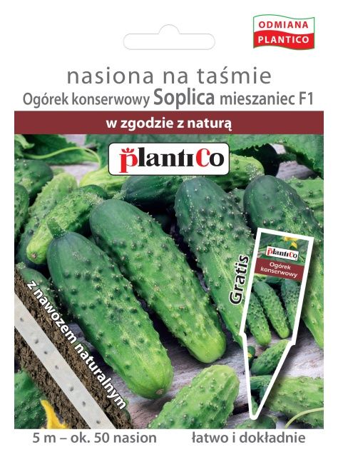 Ogórek Soplica 6m F1 na taśmie Plantico