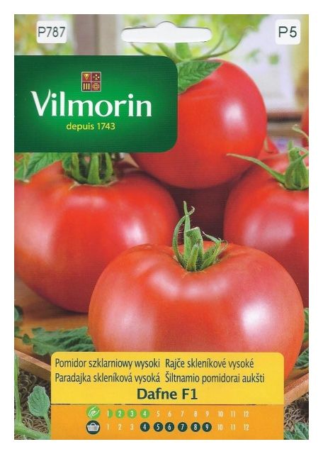 Pomidor Dafne F1 0,2g Vilmorin