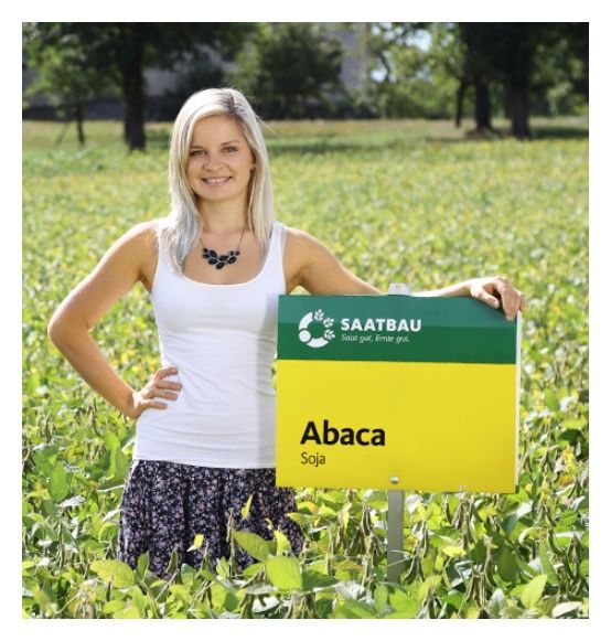 Soja Abaca C1 150tyś Saatbau