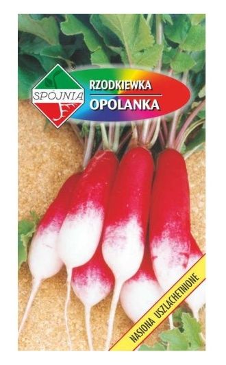 Rzodkiewka Opolanka 5g Spójnia