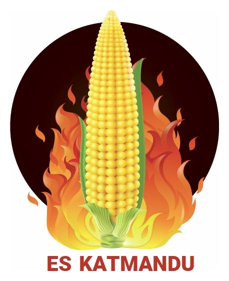 Kukurydza ES Katmandu F1 C1 50 tyś Force Lidea